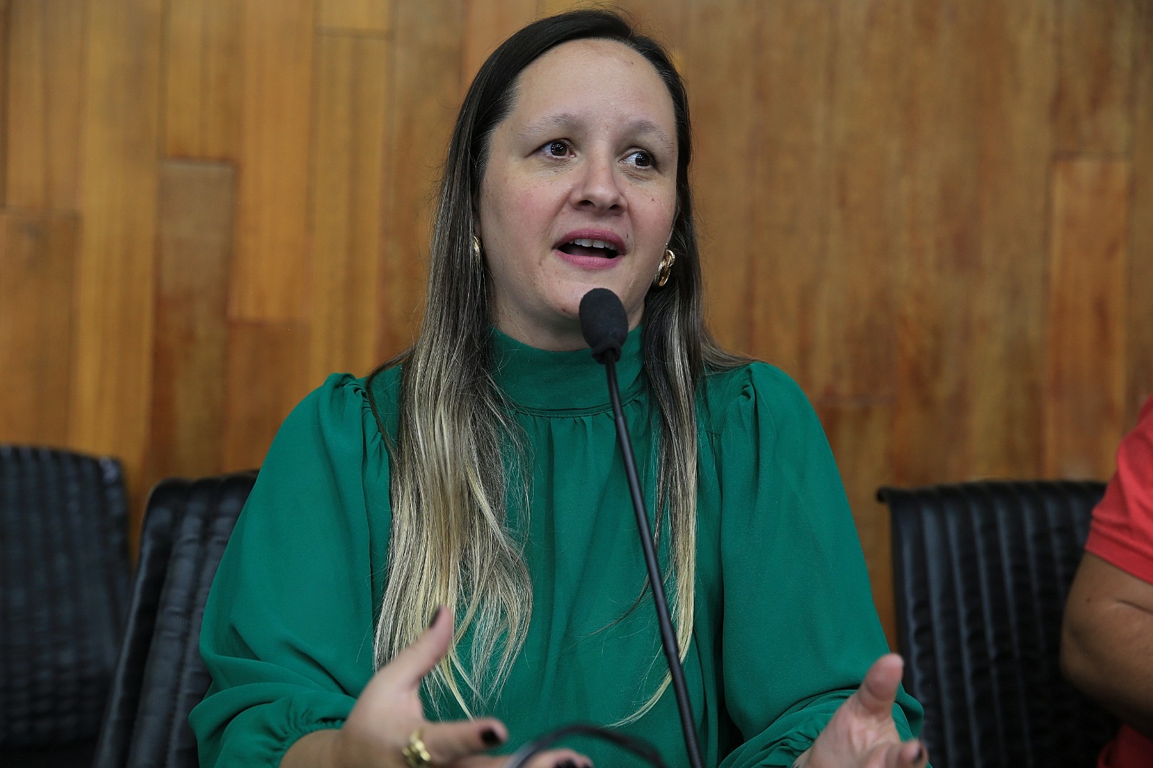 foto Aline Rezende 0010.JPG