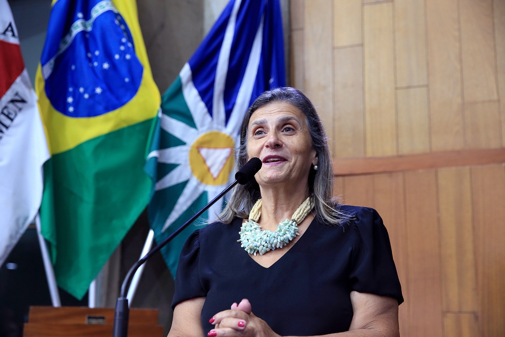 foto Aline Rezende 0029.JPG