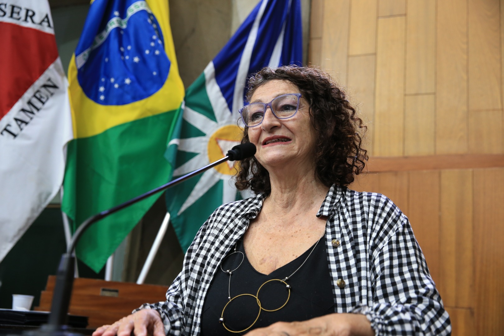 foto Aline Rezende 0030.JPG
