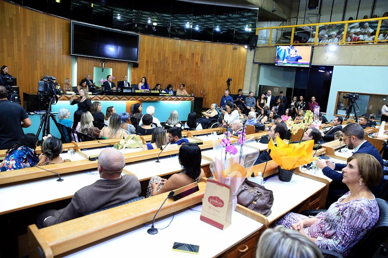 foto Aline Rezende 0029.JPG
