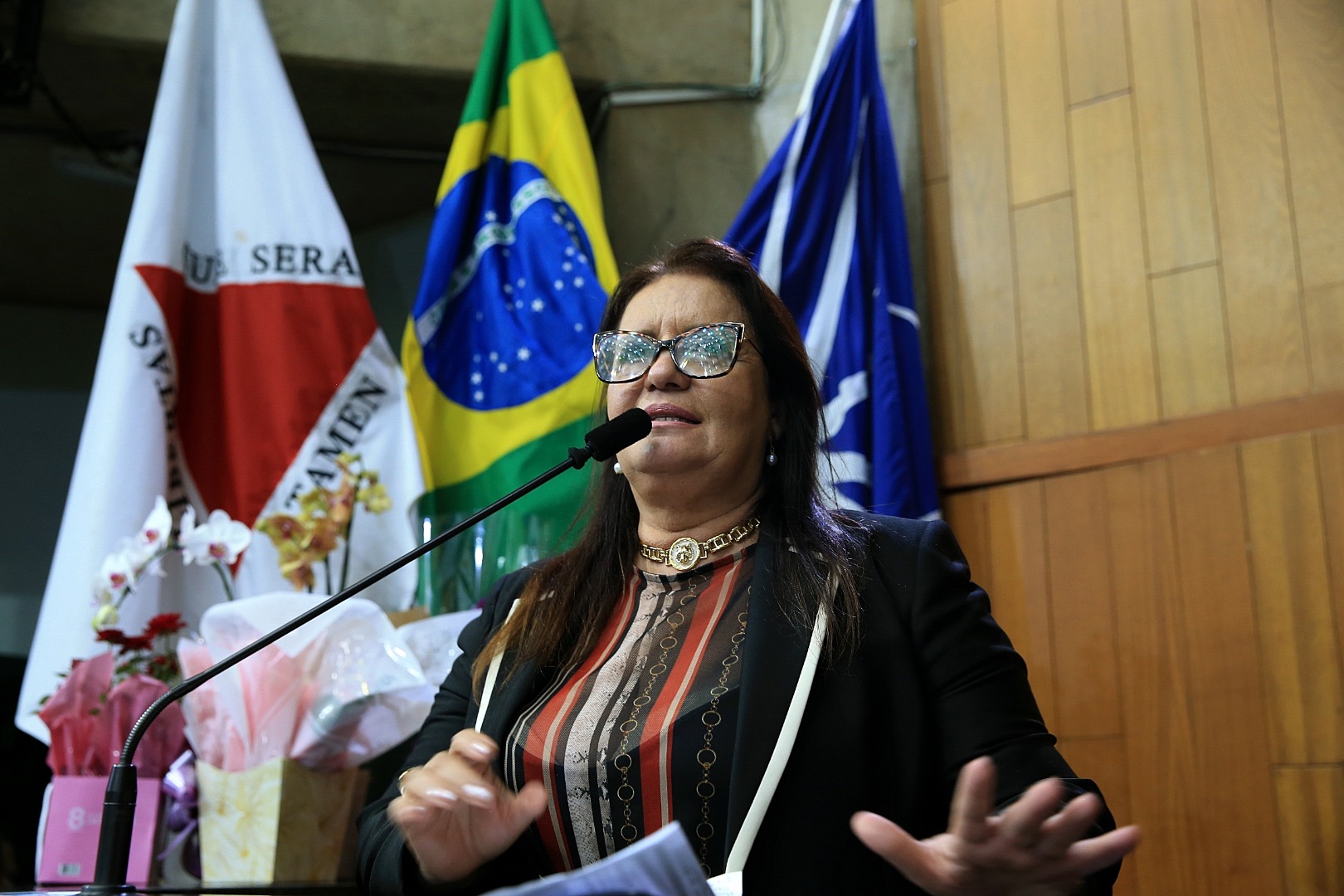 foto Aline Rezende 0032.JPG