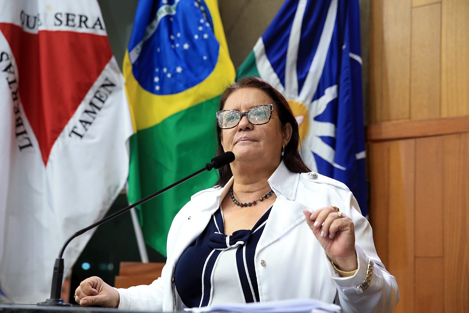foto Aline Rezende 0006.JPG