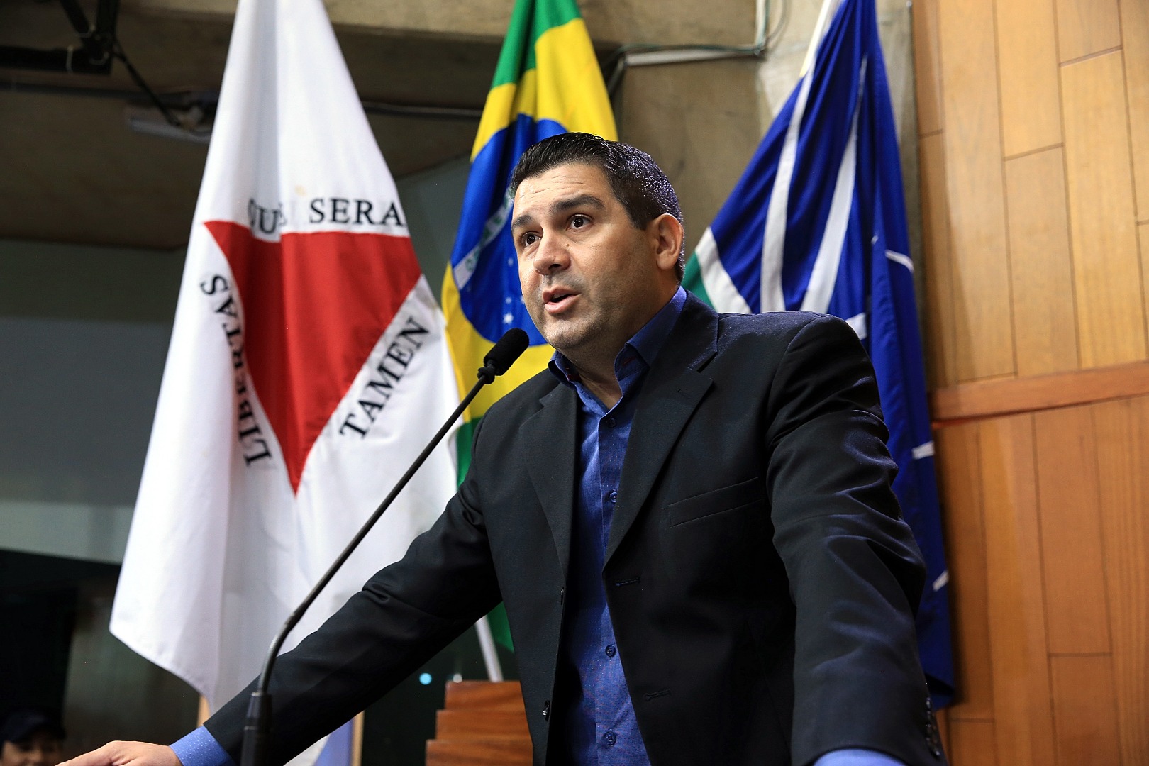 foto Aline Rezende 0014.JPG
