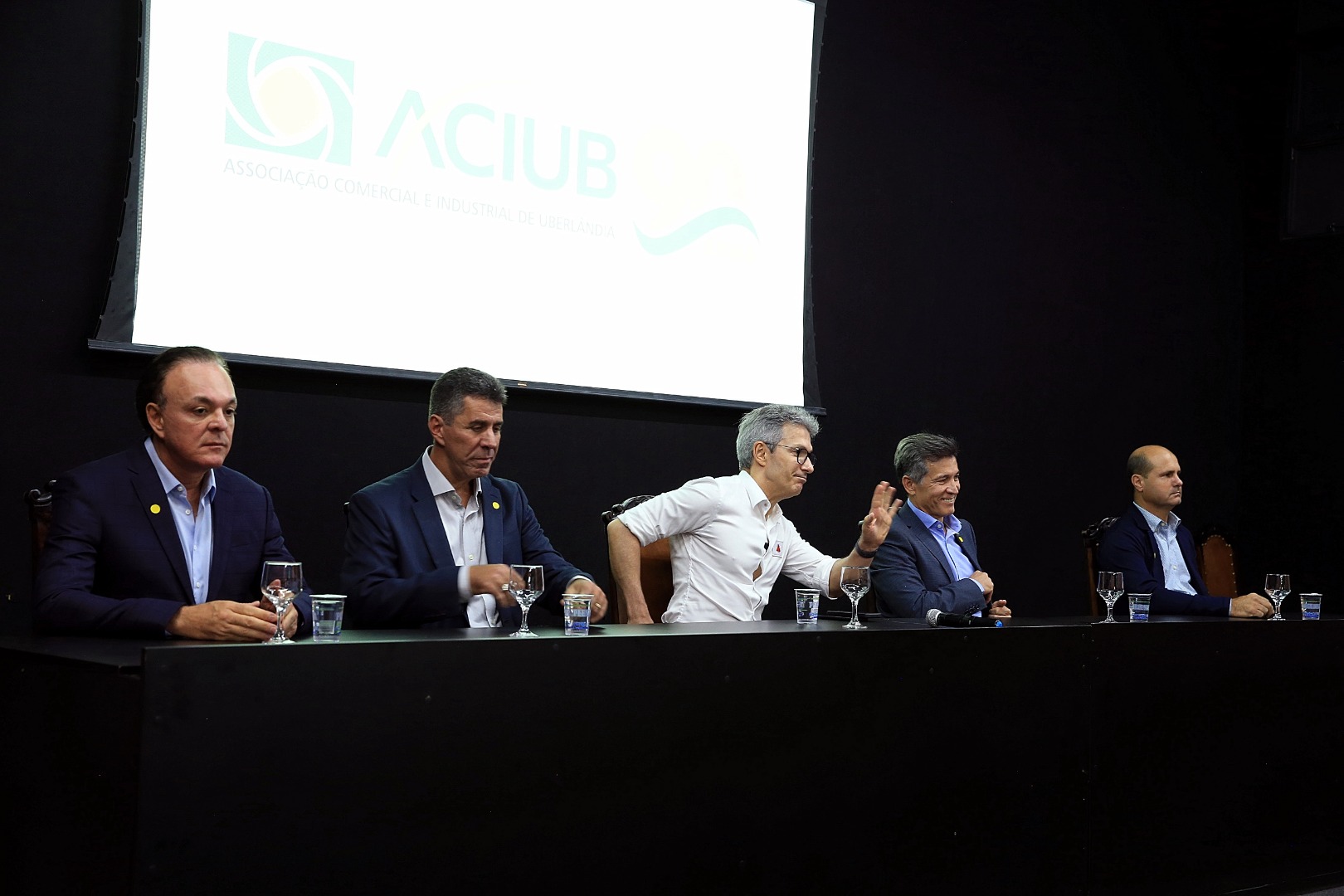 foto Aline Rezende 0017.JPG