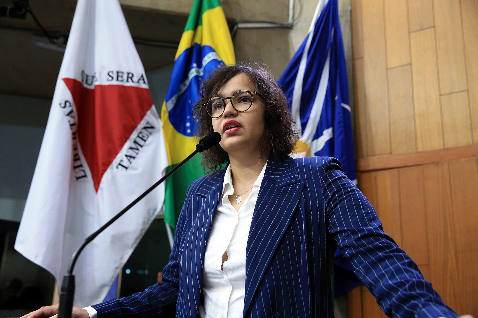 foto Aline Rezende 0052.JPG