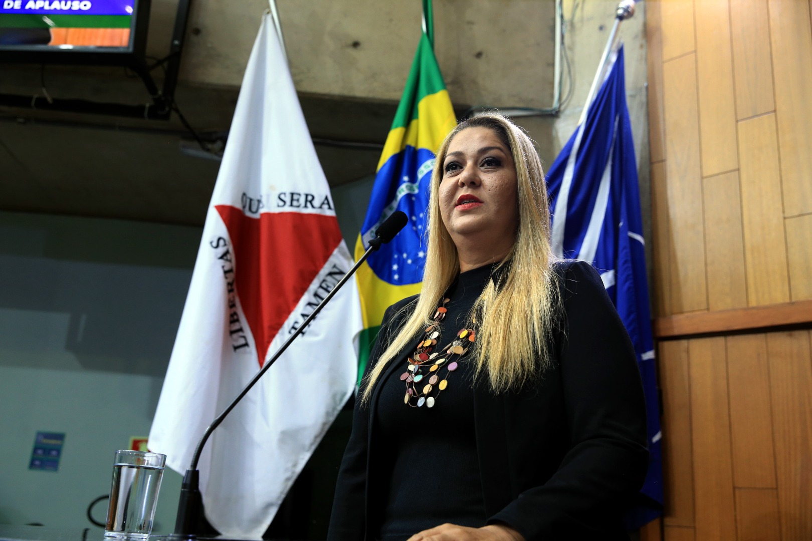 foto Aline Rezende 0026.JPG