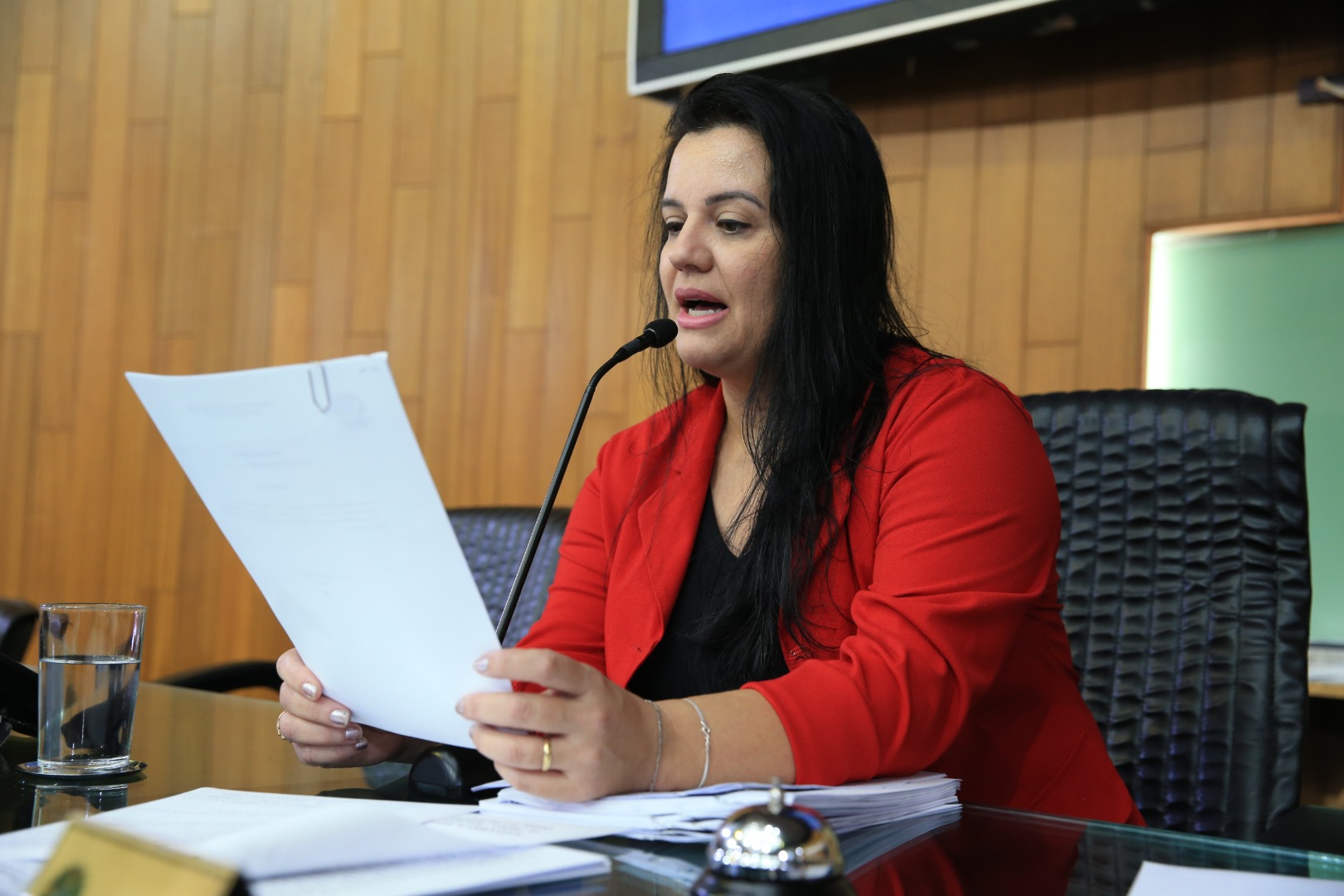 foto Aline Rezende 0005.JPG