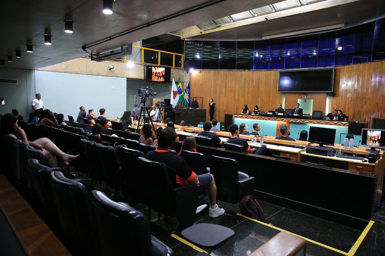 foto Aline Rezende 0009.JPG