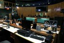  foto Aline Rezende 0010.JPG 