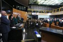  foto Aline Rezende 0007.JPG 