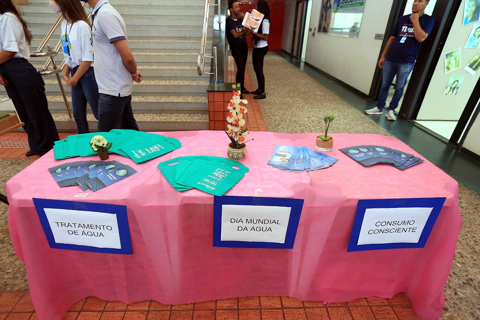 foto Aline Rezende 0007.JPG