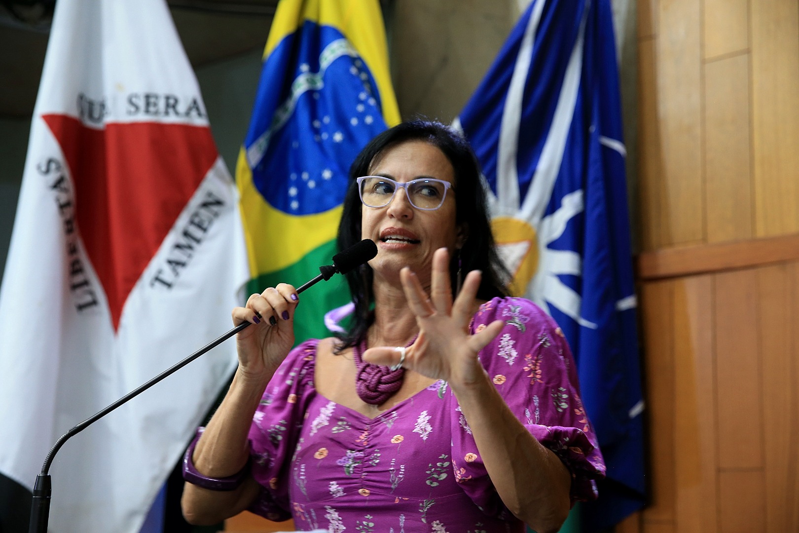 foto Aline Rezende 0021.JPG