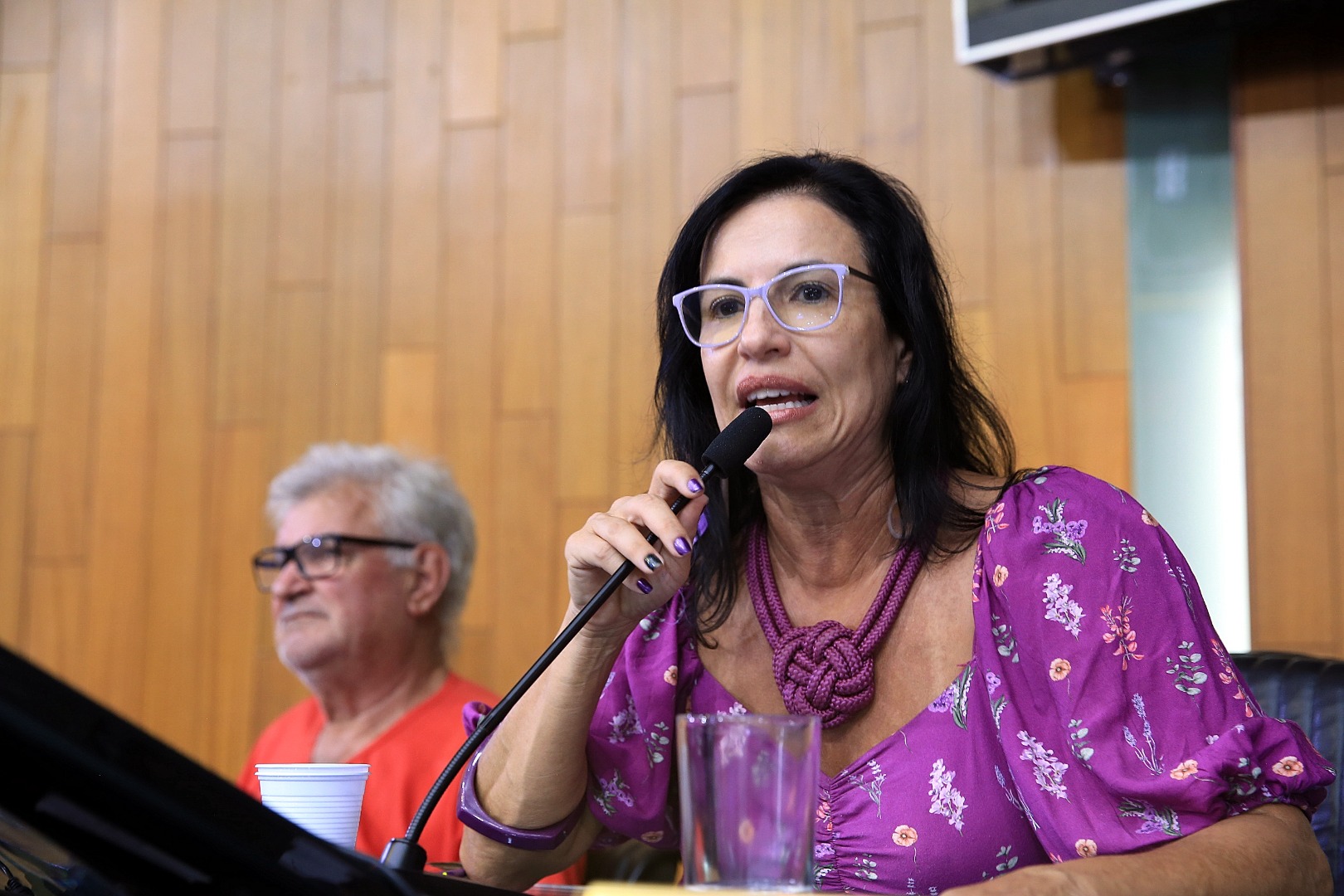 foto Aline Rezende 0045.JPG