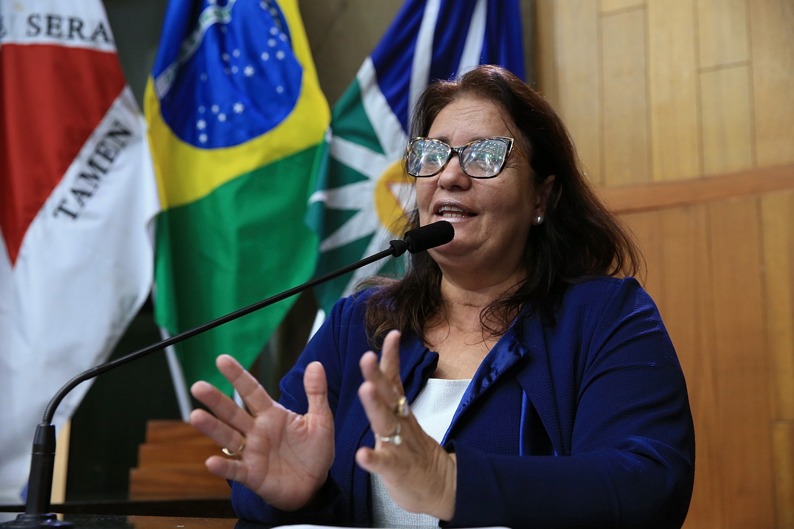 foto Aline Rezende 0014.JPG