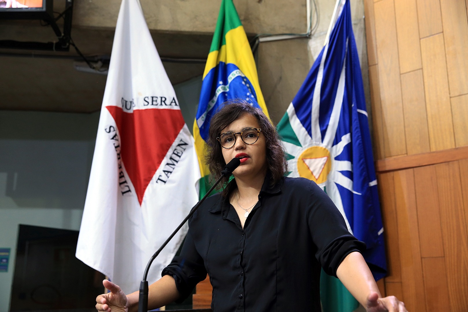 foto Aline Rezende 0043.JPG