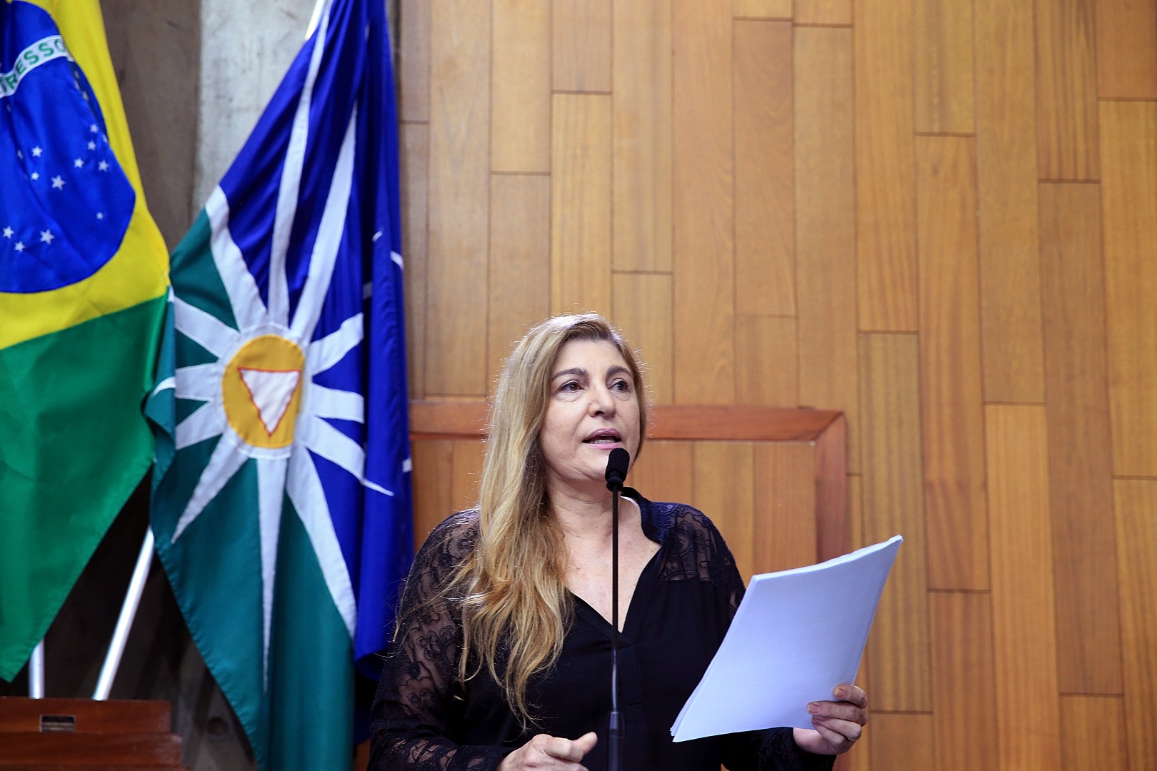 foto Aline Rezende 0005.JPG
