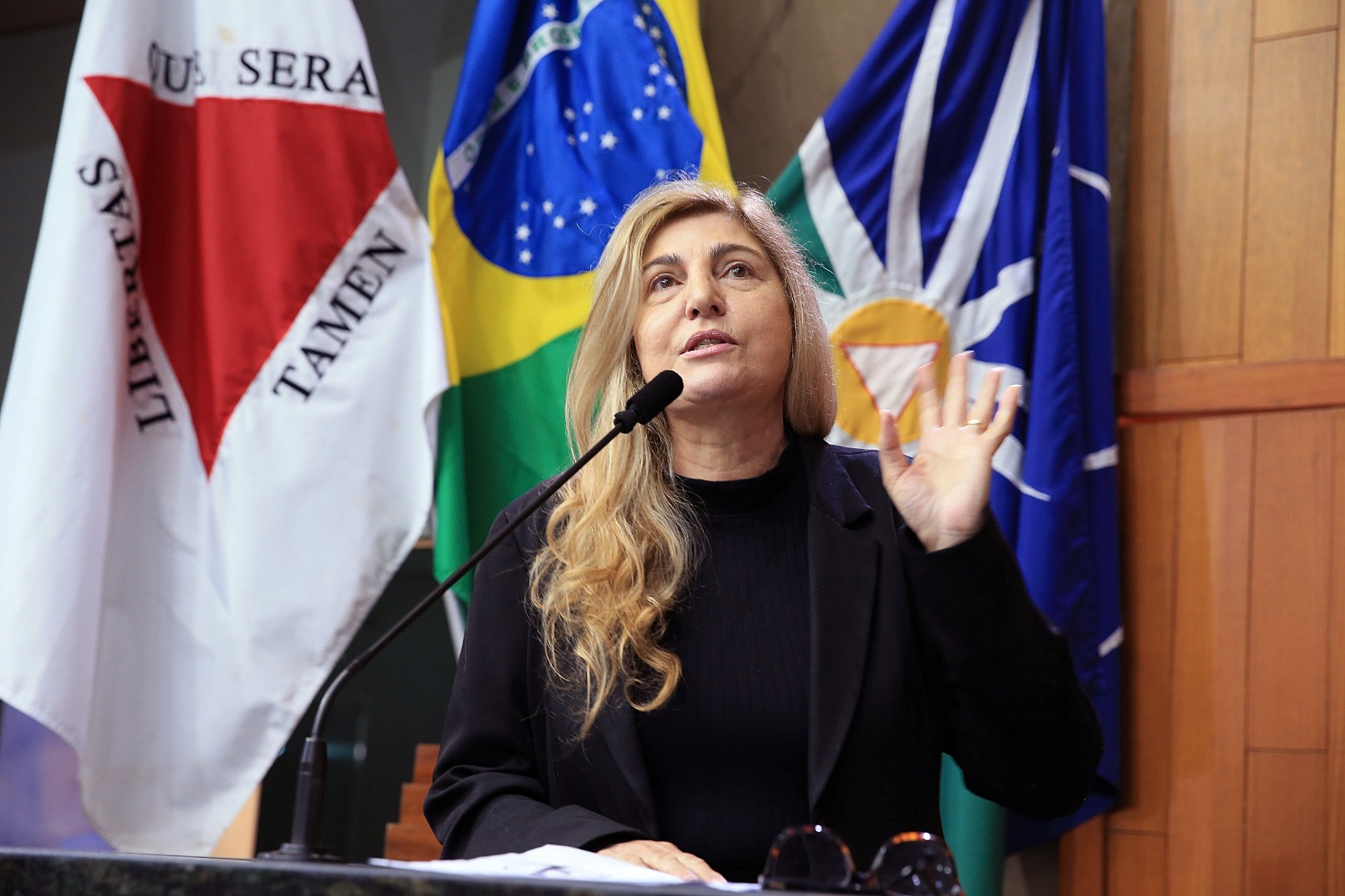foto Aline Rezende 0090.JPG