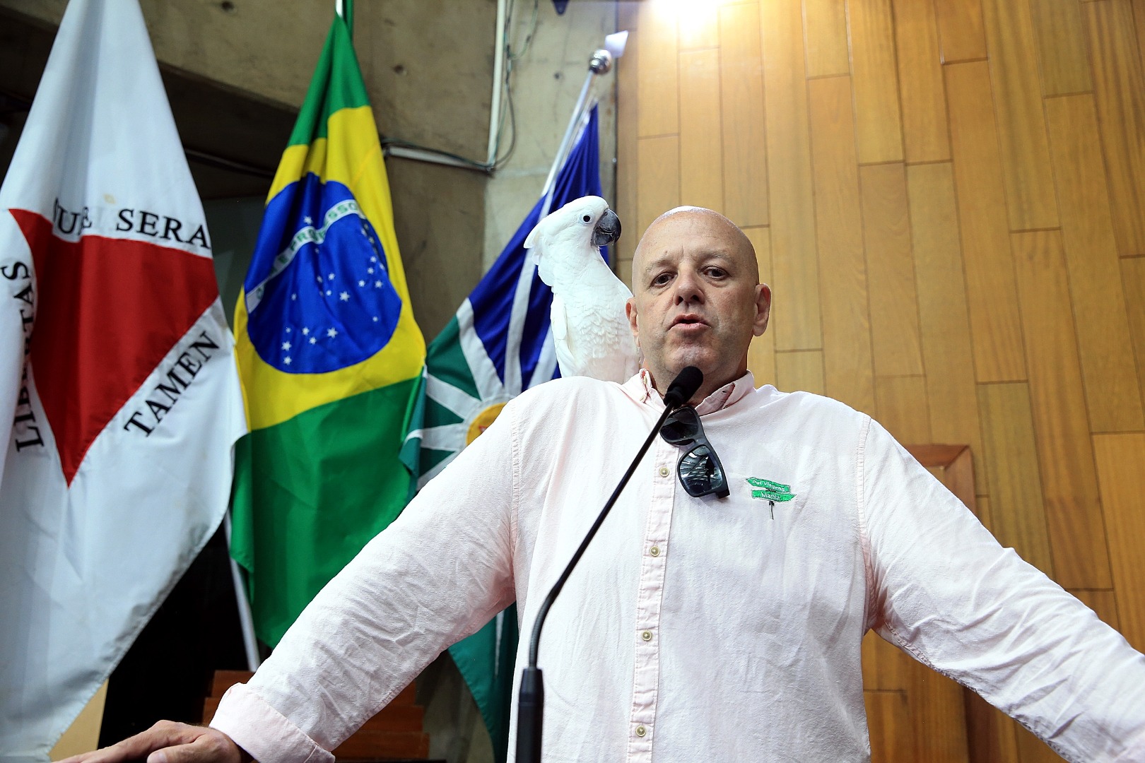 foto Aline Rezende 0006.JPG