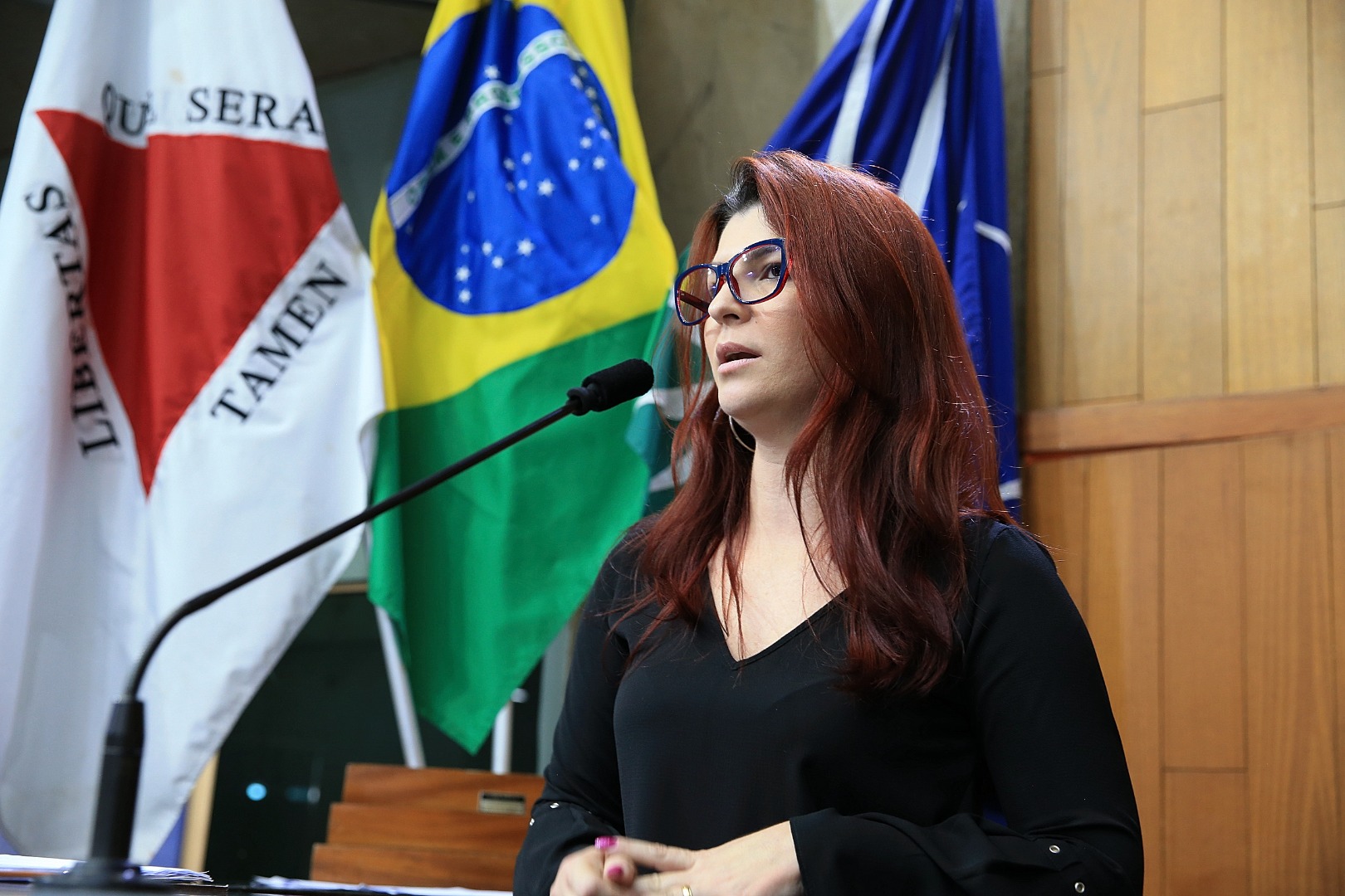 foto Aline Rezende 0023.JPG