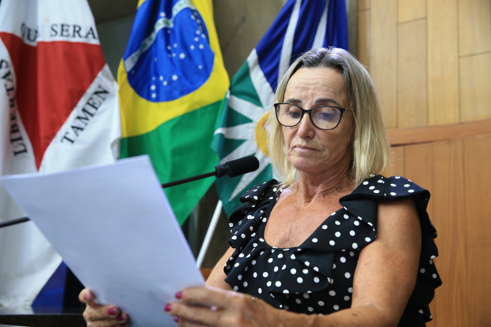 foto Aline Rezende 0001.JPG