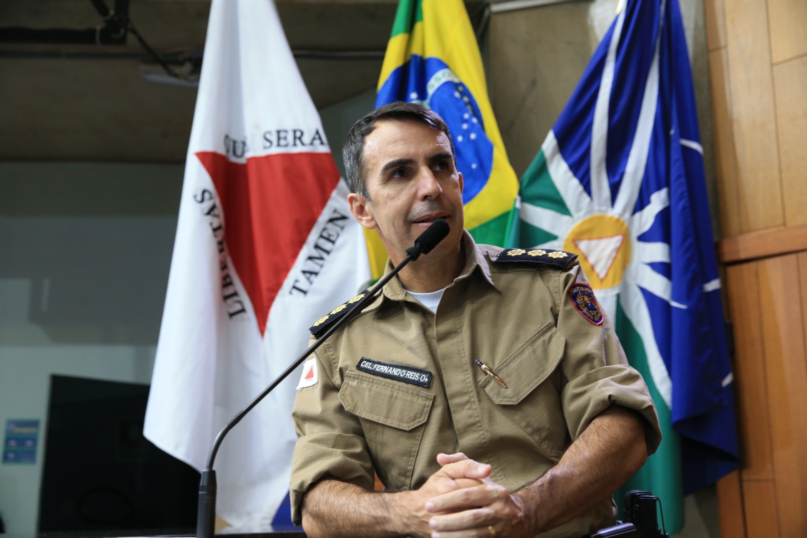 foto Aline Rezende 0014.JPG