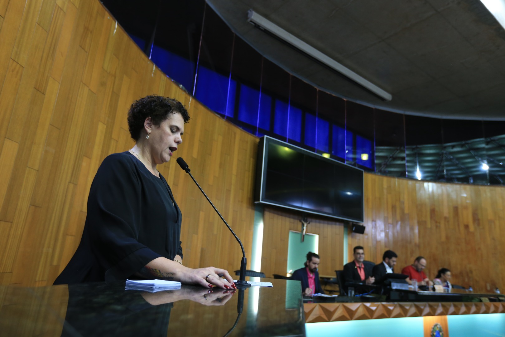 foto Aline Rezende 0002.JPG