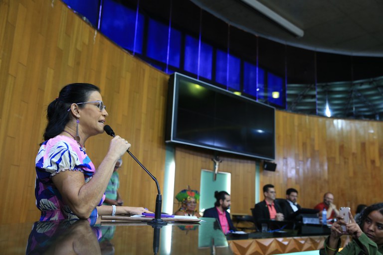 foto Aline Rezende 0017.JPG