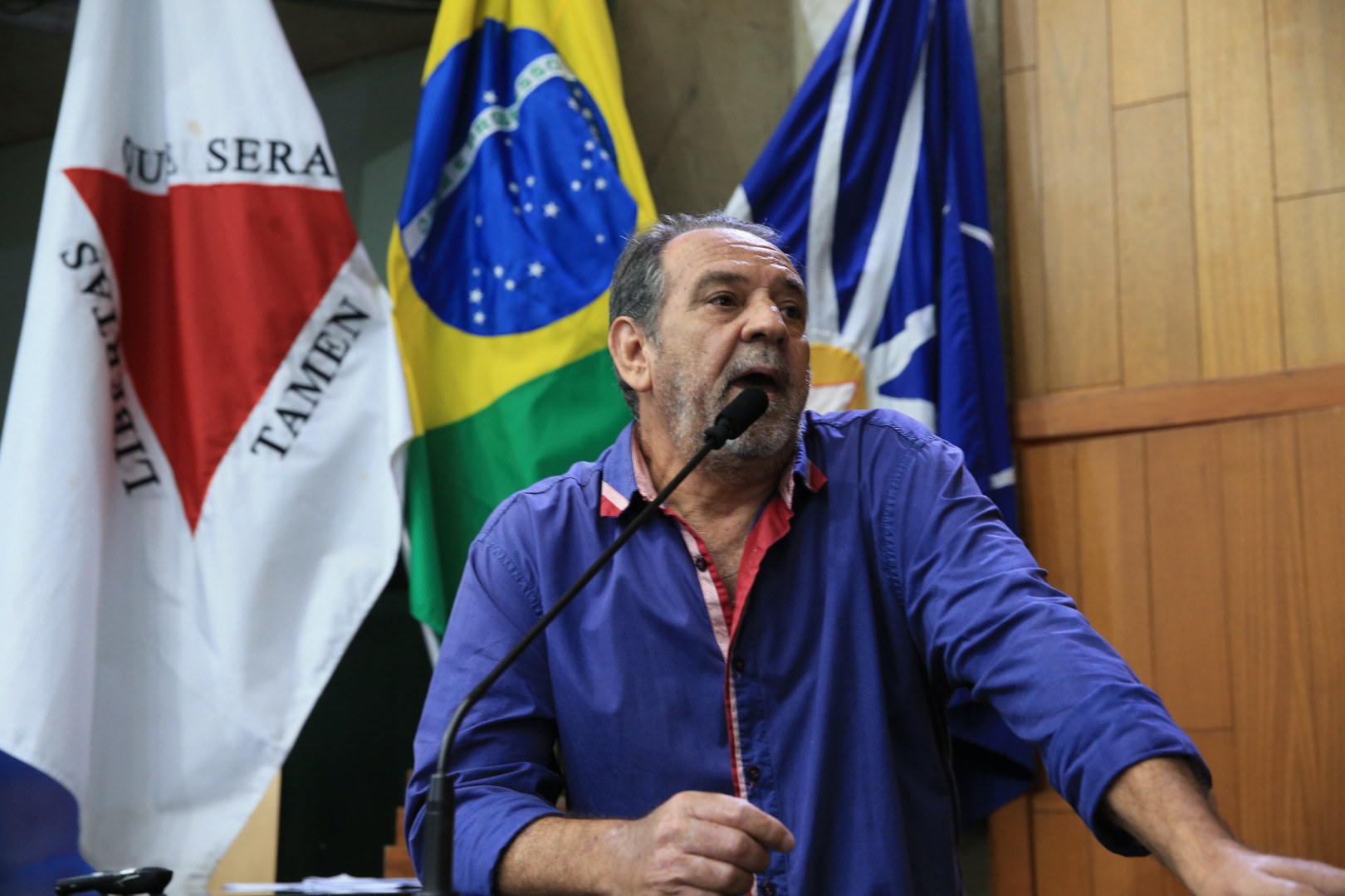 foto Aline Rezende 0047.JPG