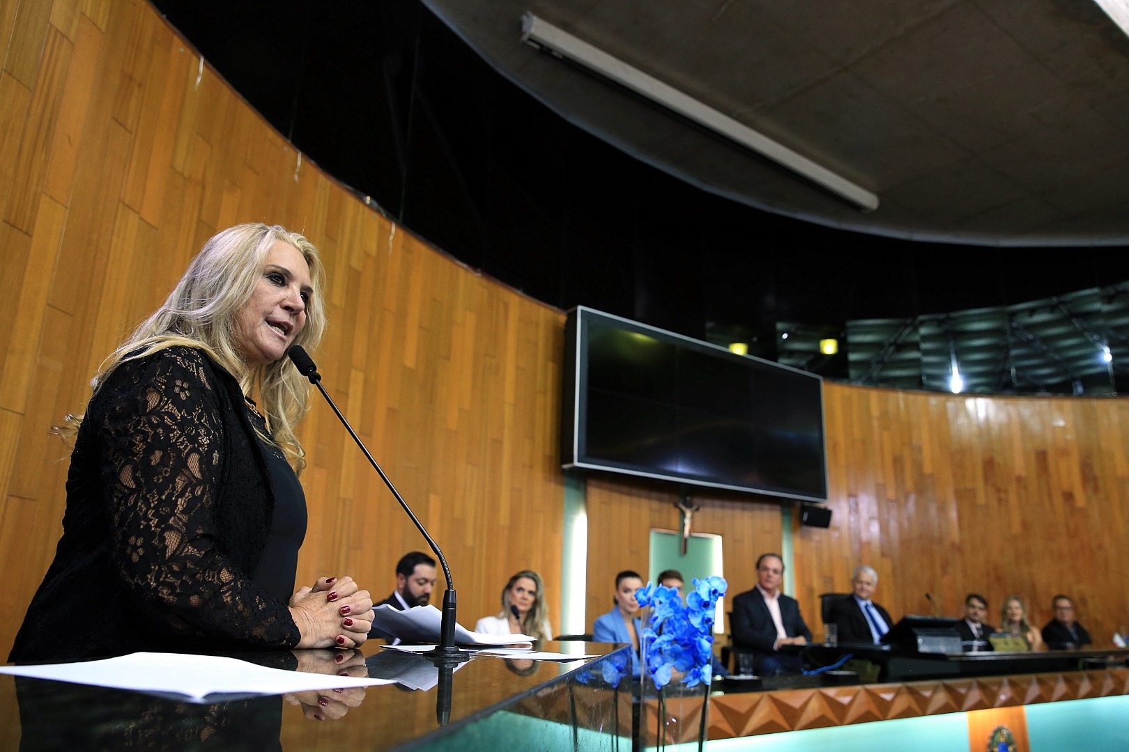 foto Aline Rezende 0019.JPG