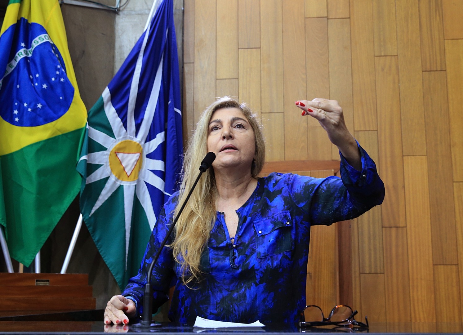 foto Aline Rezende 0047.JPG