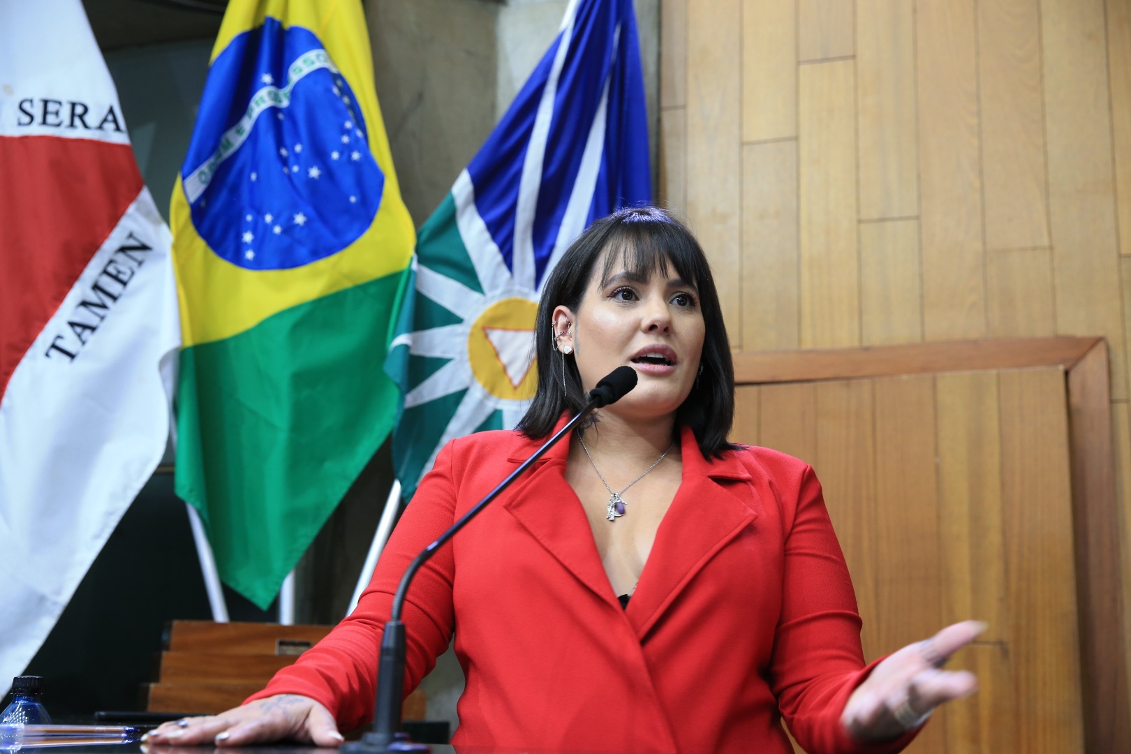 foto Aline Rezende 0019.JPG