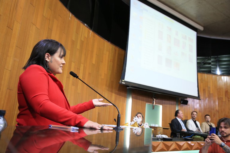 foto Aline Rezende 0021.JPG