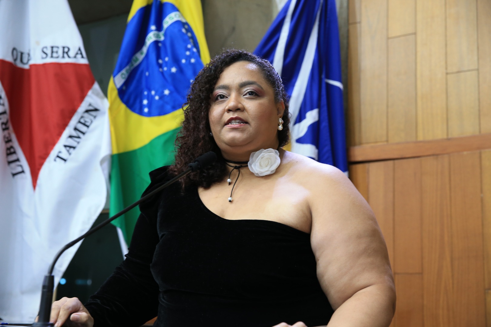 foto Aline Rezende 0022.JPG