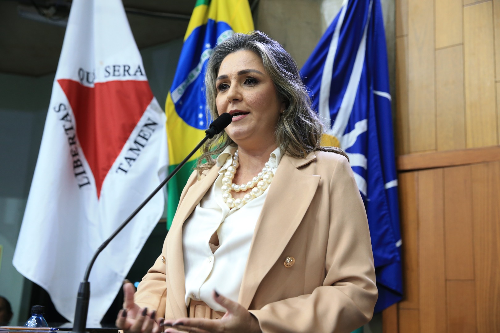 foto Aline Rezende 0027.JPG