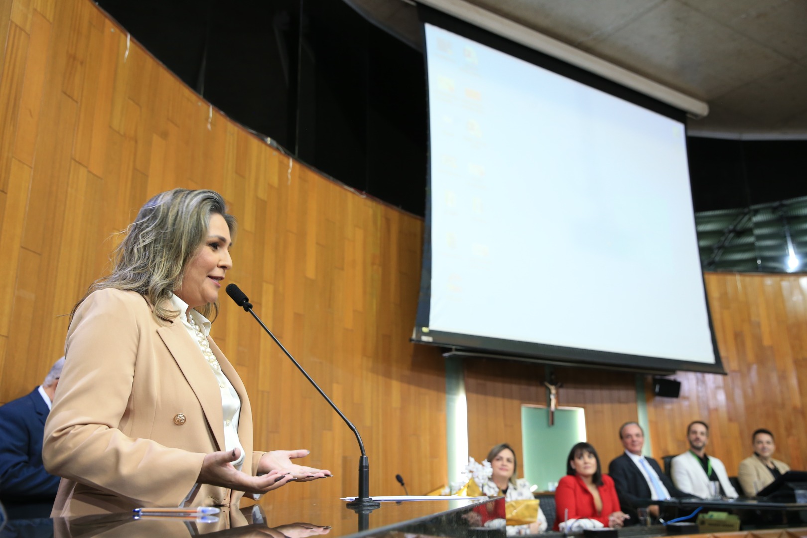 foto Aline Rezende 0028.JPG