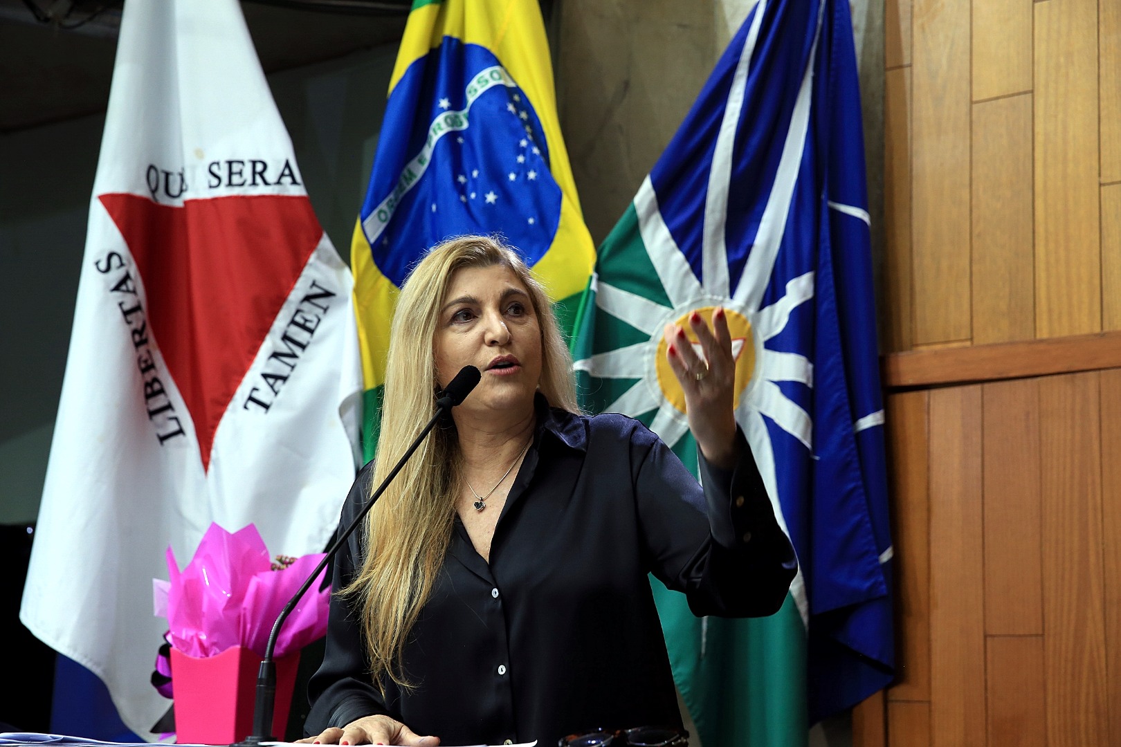 foto Aline Rezende 0015.JPG