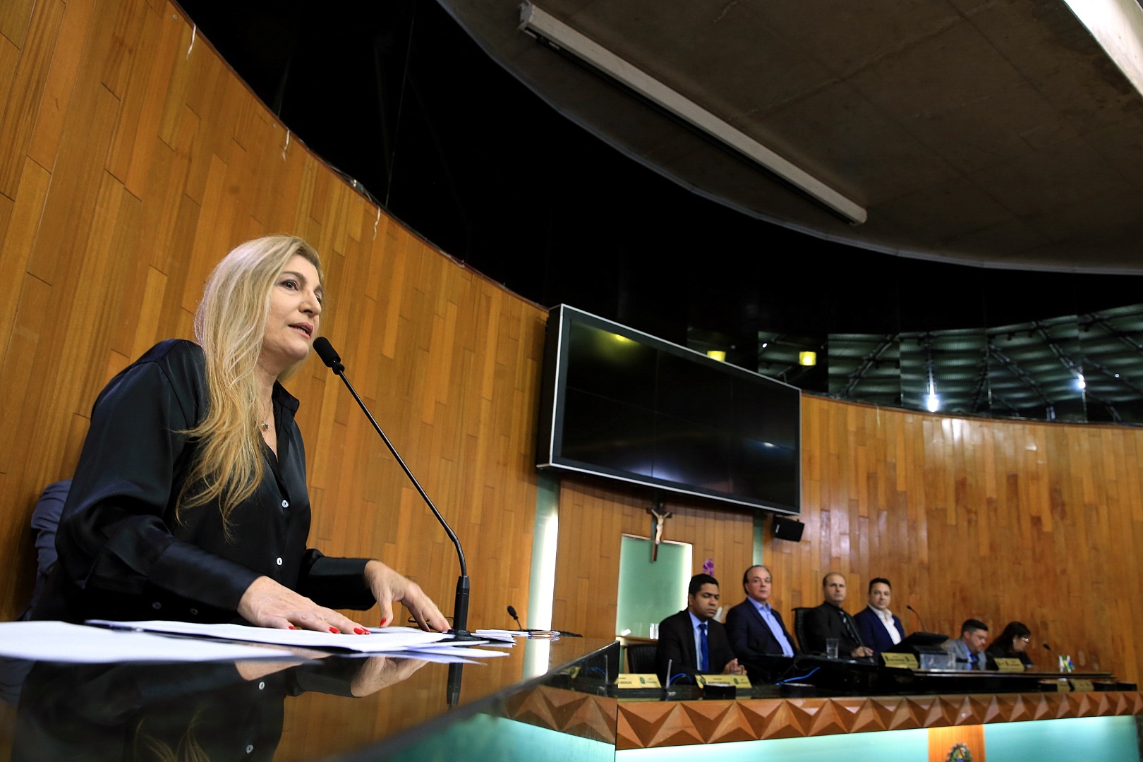 foto Aline Rezende 0016.JPG