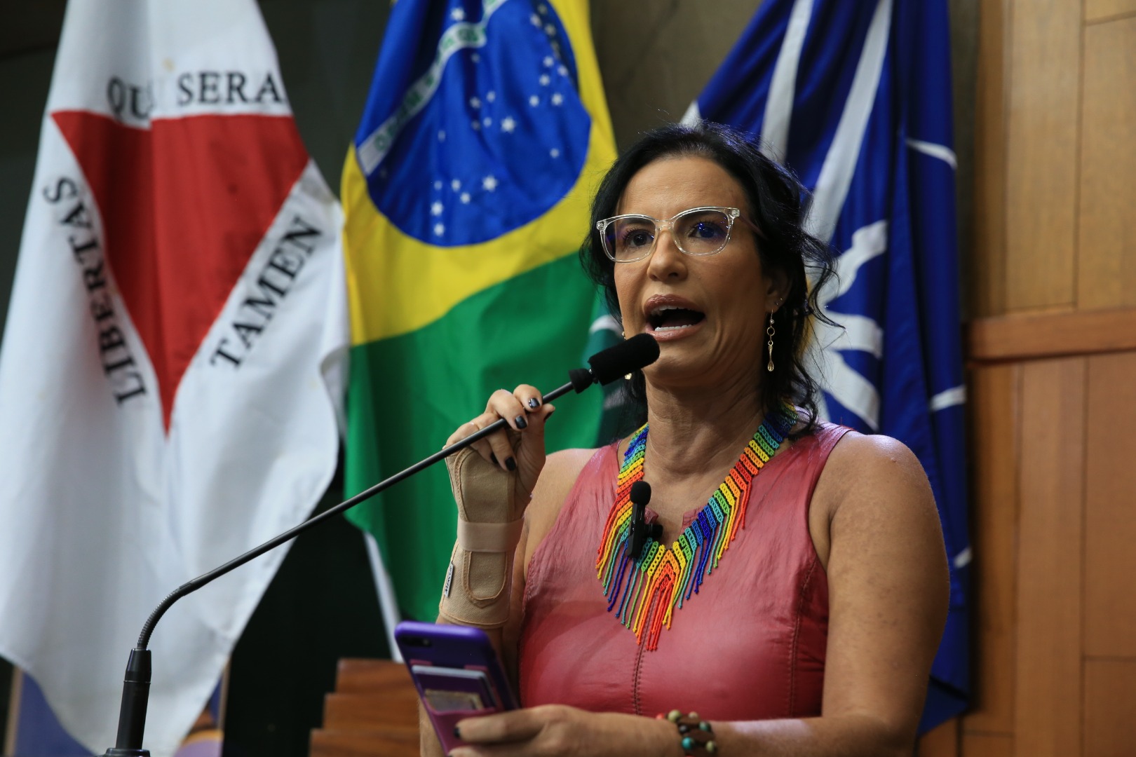 foto Aline Rezende 0023.JPG