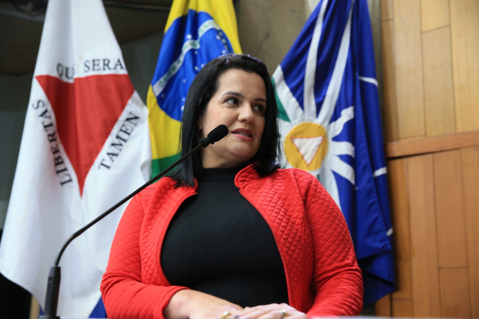 foto Aline Rezende 0018.JPG