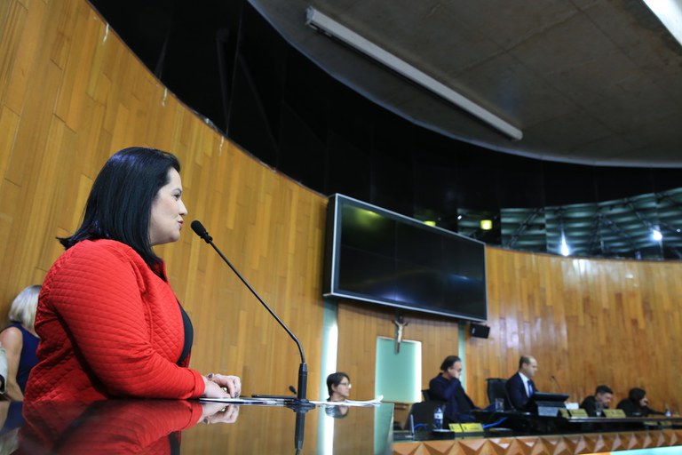 foto Aline Rezende 0020.JPG