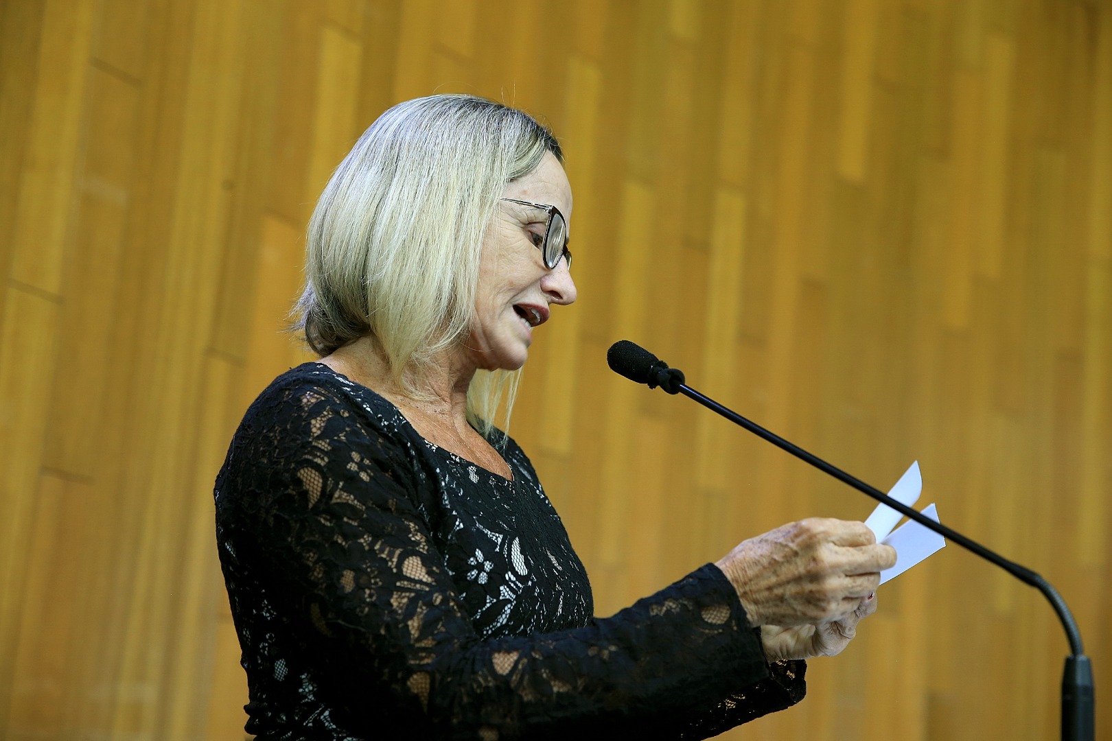 foto Aline Rezende 0003.JPG