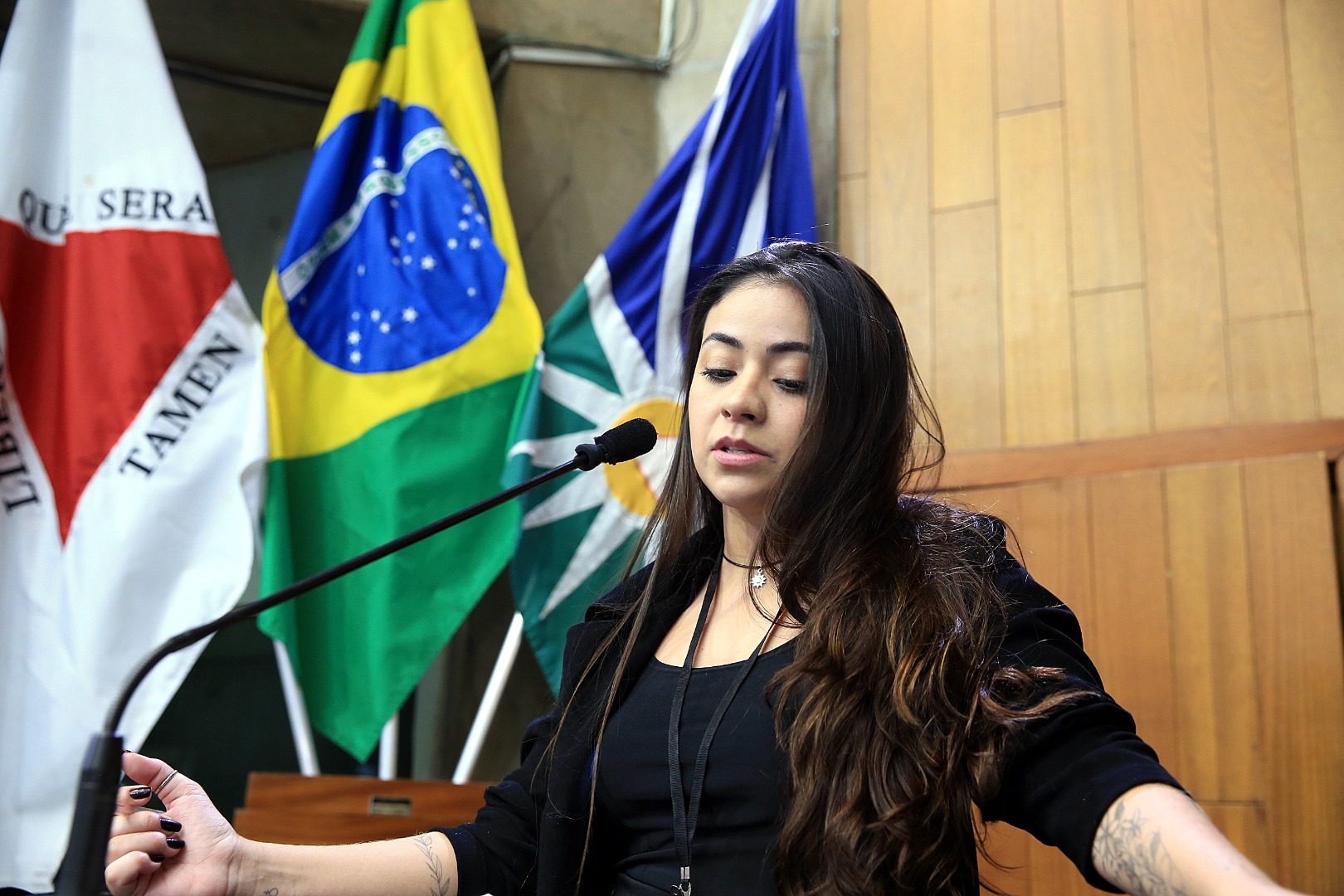 foto Aline Rezende 0012.JPG