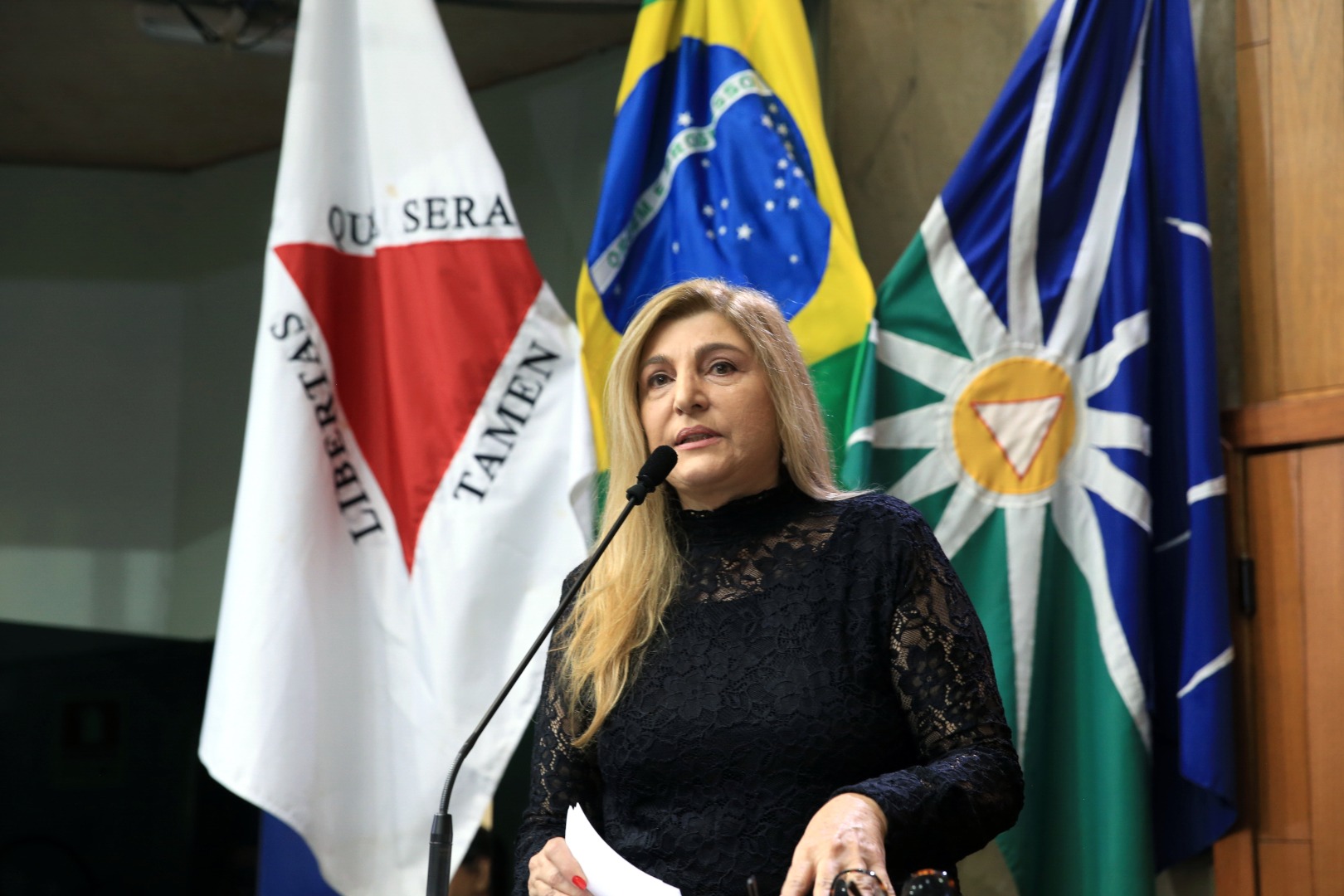 foto Aline Rezende 0017.JPG