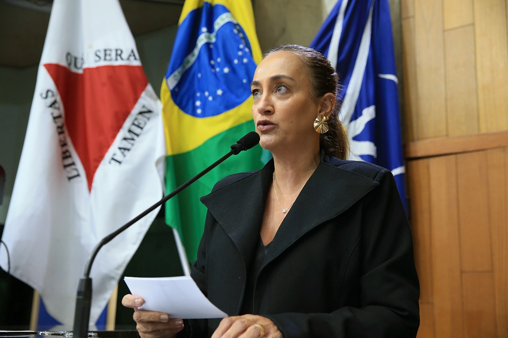 foto Aline Rezende 0001.JPG