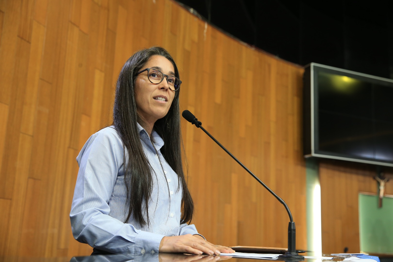 foto Aline Rezende 0002.JPG
