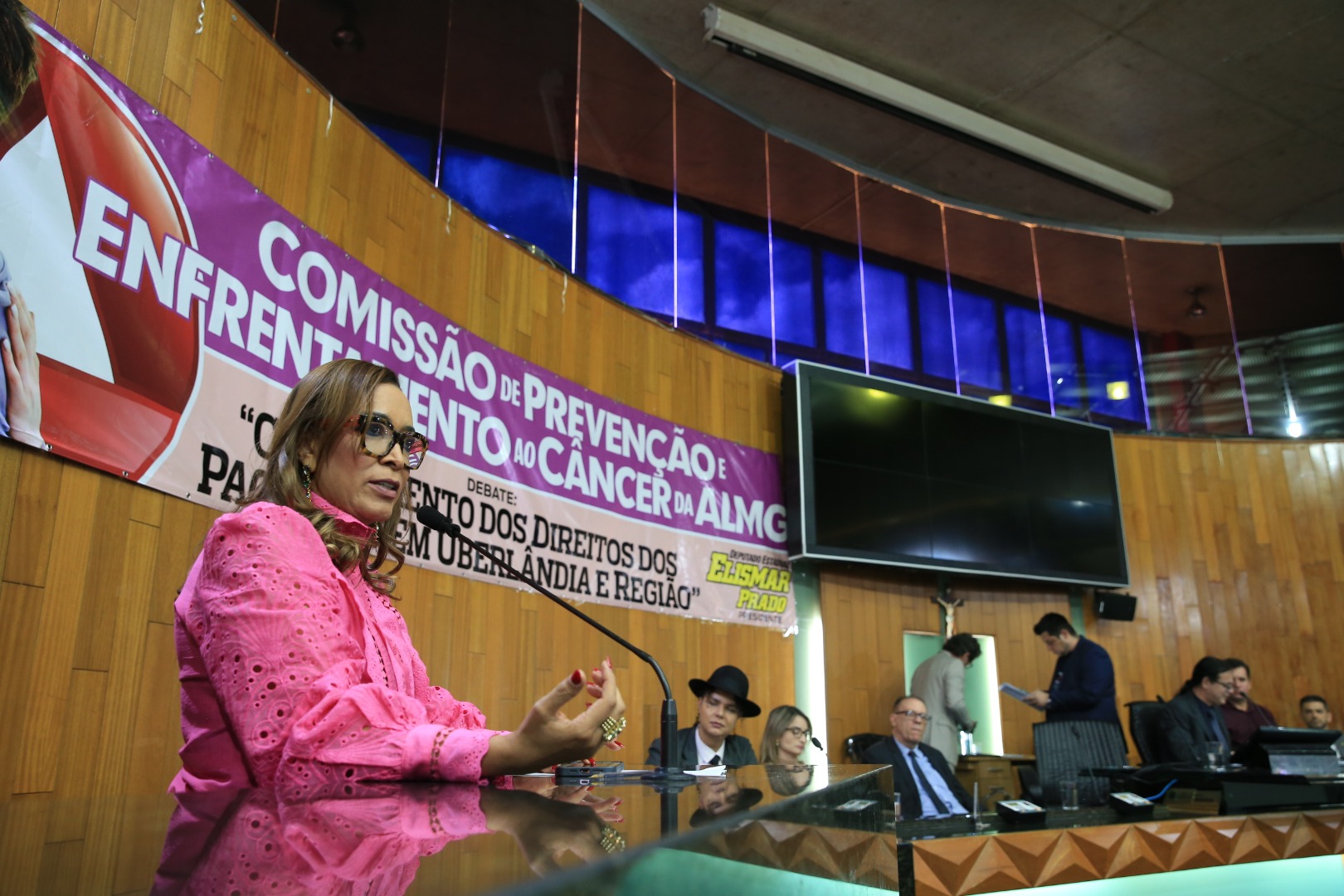 foto Aline Rezende 0015.JPG