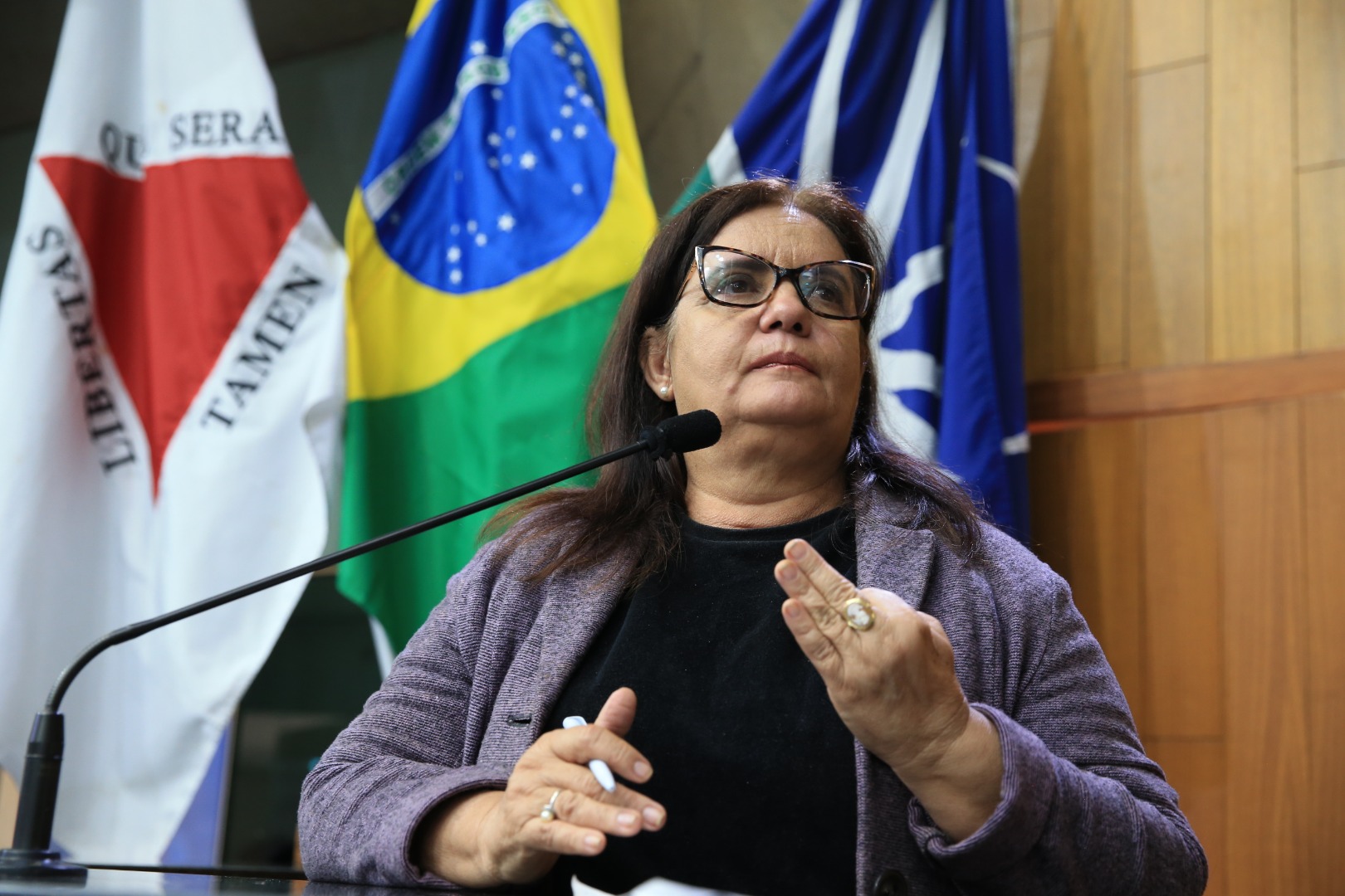 foto Aline Rezende 0033.JPG
