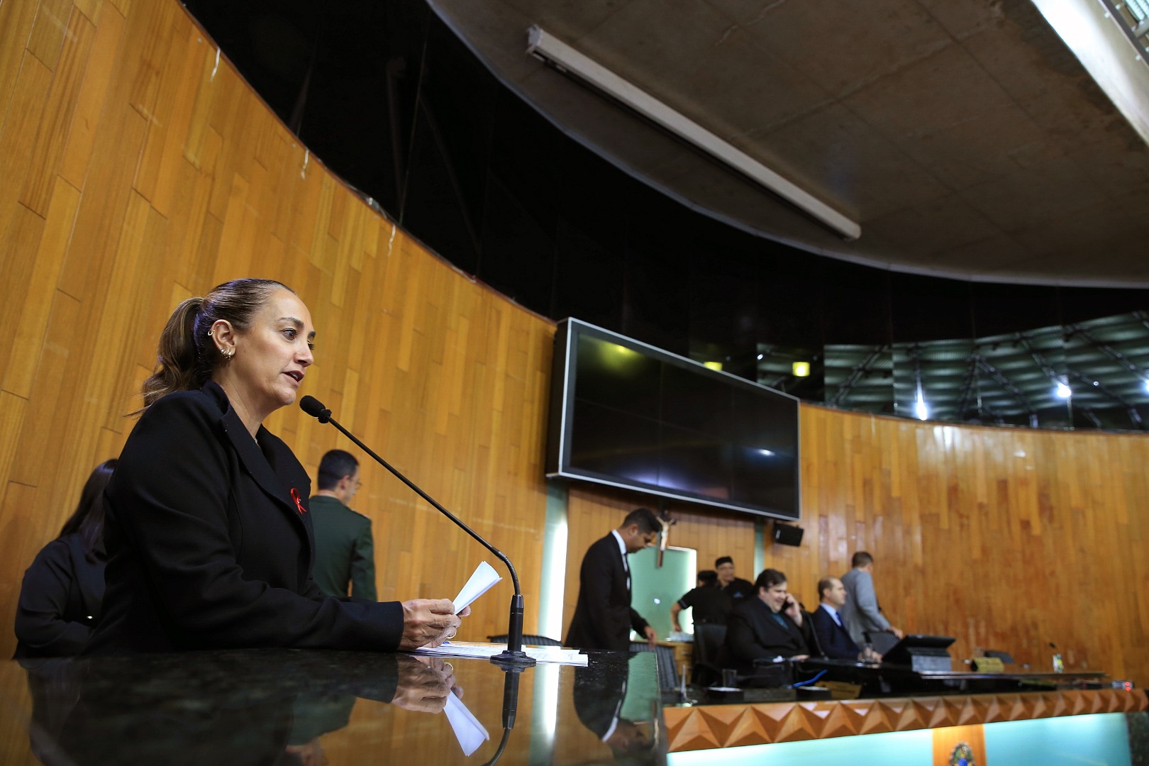 foto Aline Rezende 0003.JPG