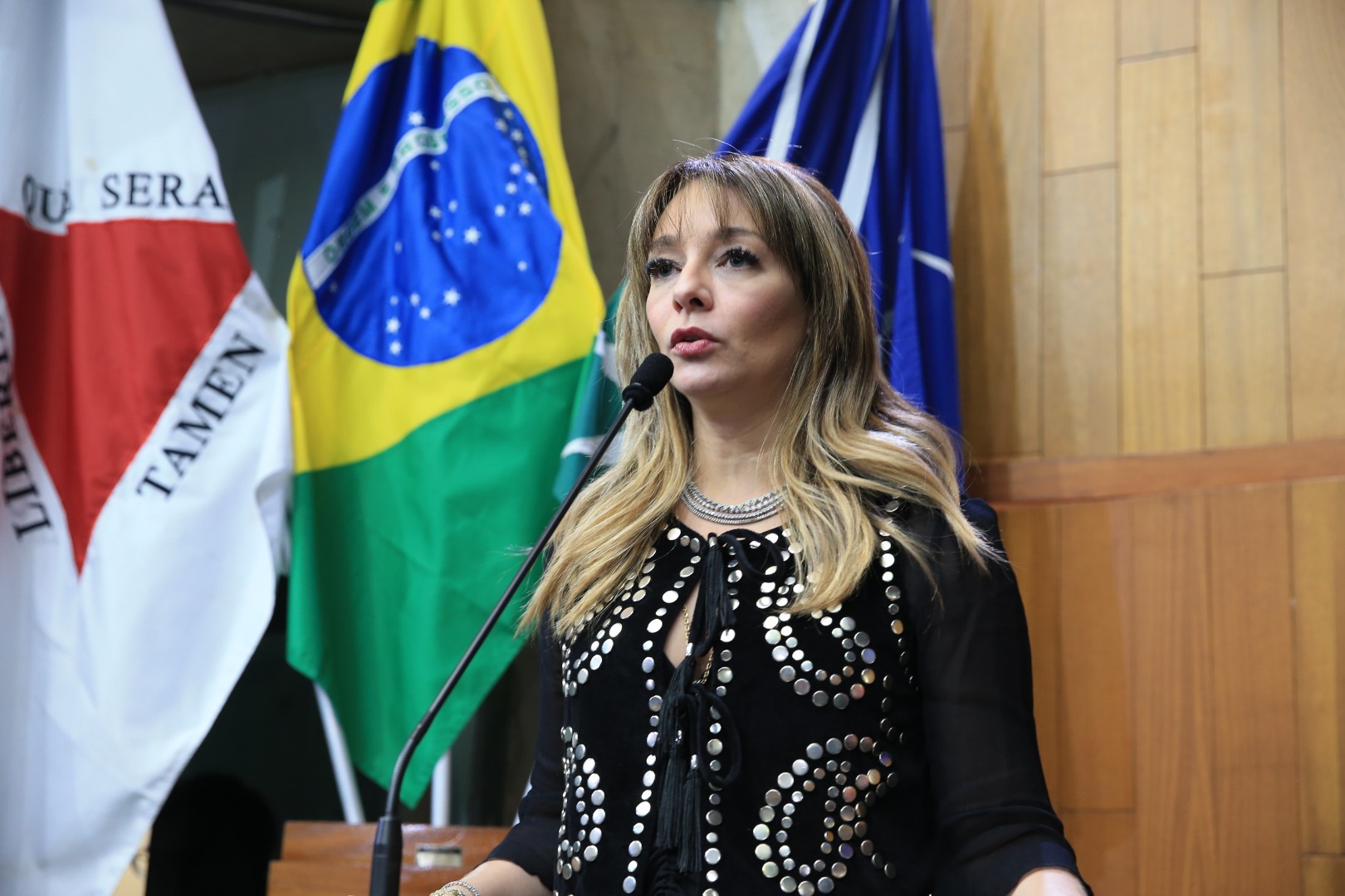 foto Aline Rezende 0012.JPG