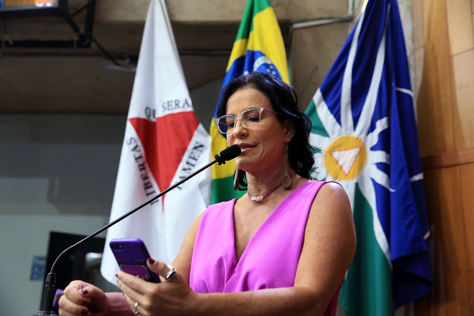 foto Aline Rezende 0017.JPG